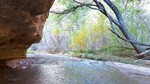 photo thumbnail #2