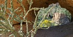 photo thumbnail #10
