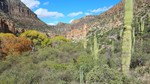 photo thumbnail #13