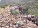 photo thumbnail #12