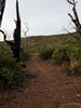 photo thumbnail #13