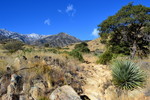 photo thumbnail #5