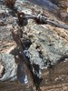 photo thumbnail #11