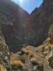 photo thumbnail #15