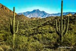 photo thumbnail #8