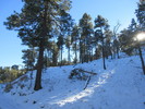 photo thumbnail #2