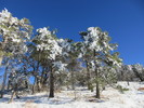 photo thumbnail #3