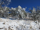 photo thumbnail #4