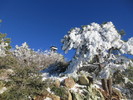 photo thumbnail #6