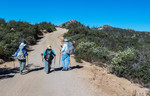 photo thumbnail #8