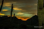 photo thumbnail #8
