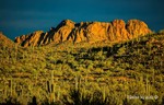 photo thumbnail #11