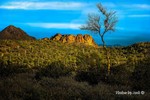 photo thumbnail #14