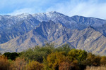 Featured Full Photo