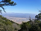 photo thumbnail #3