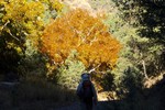 photo thumbnail #15