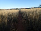 photo thumbnail #7