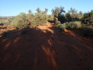 photo thumbnail #8