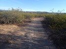 photo thumbnail #9