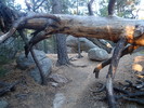 photo thumbnail #1