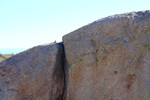 photo thumbnail #13