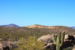 photo thumbnail #15