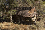 photo thumbnail #9