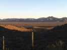 photo thumbnail #2