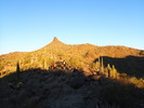 photo thumbnail #3