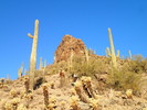 photo thumbnail #5