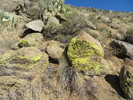 photo thumbnail #6