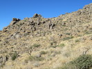 photo thumbnail #15