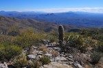 photo thumbnail #5