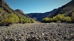 photo thumbnail #11