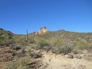 photo thumbnail #15