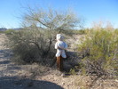 photo thumbnail #11