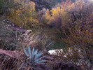 photo thumbnail #10