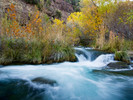 photo thumbnail #9