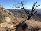 photo thumbnail #9