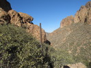 photo thumbnail #2