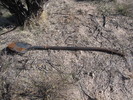 photo thumbnail #8