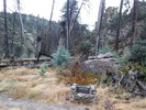 photo thumbnail #14