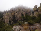 photo thumbnail #13