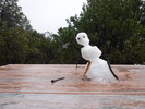 photo thumbnail #15