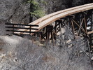 photo thumbnail #5