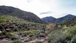 photo thumbnail #8