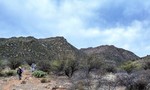 photo thumbnail #15