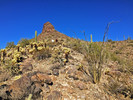 photo thumbnail #6