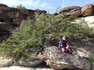 photo thumbnail #4