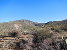 photo thumbnail #1